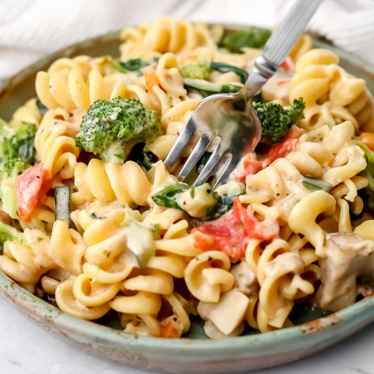 Creamy Vegetable Pasta